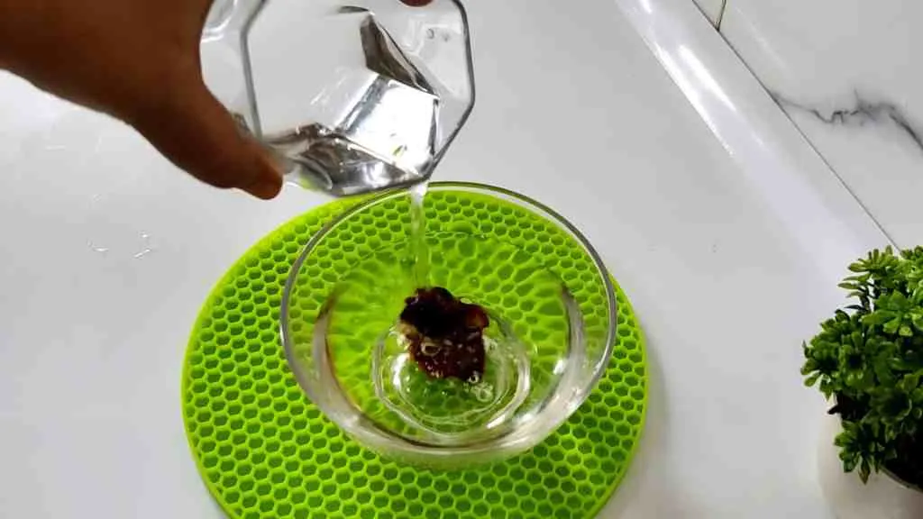 Easy Poondu Kuzhambu Recipe