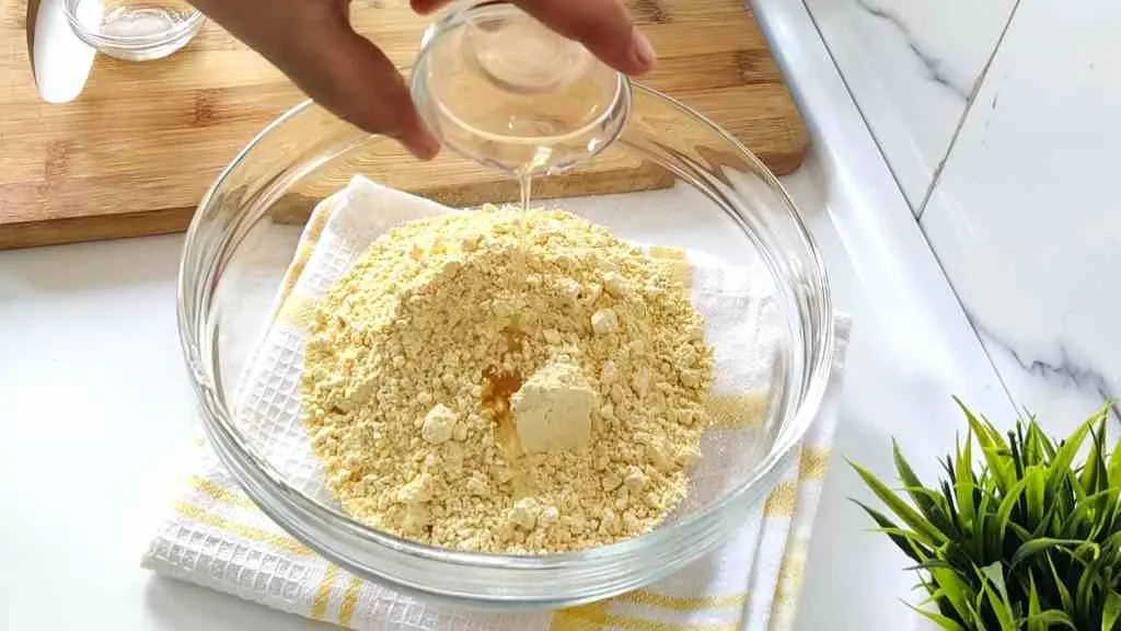 Gluten Free Chapati Recipe