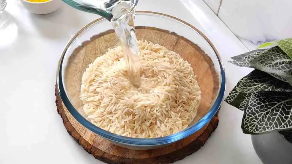 Vijayawada Biryani Recipe: Unlock the Flavors of a Masterpiece