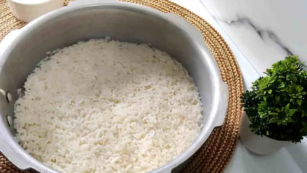 Simple Curd Rice Recipe