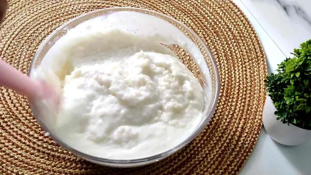 Simple Curd Rice Recipe