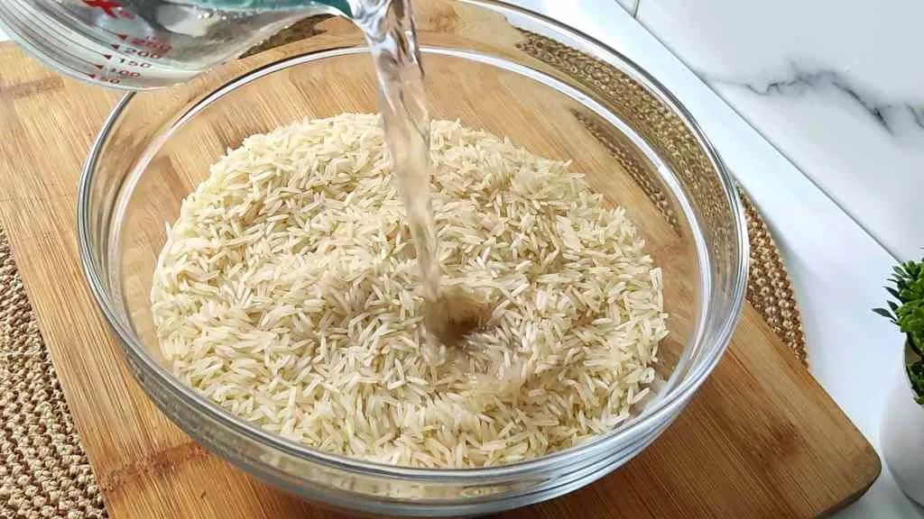 South Indian Mutton Biryani