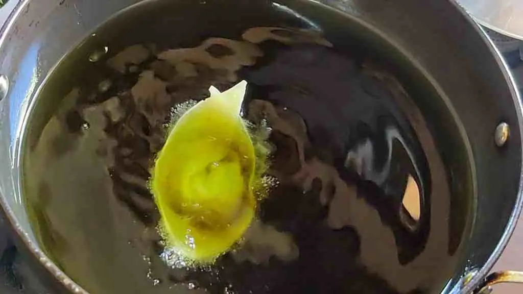 Crispy Chicken Wonton Recipe
