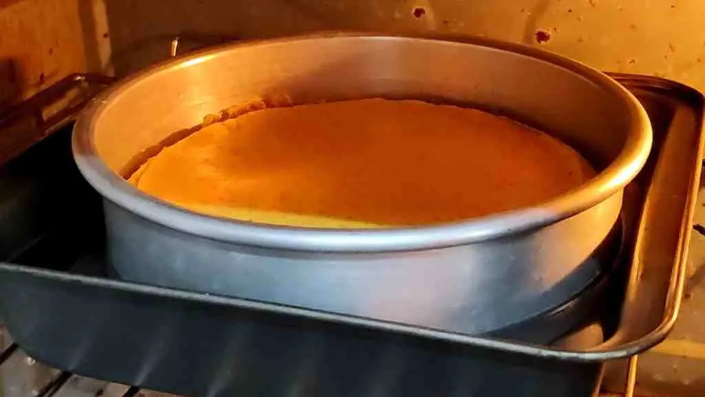 Besan Dhokla In (OTG) Oven Recipe