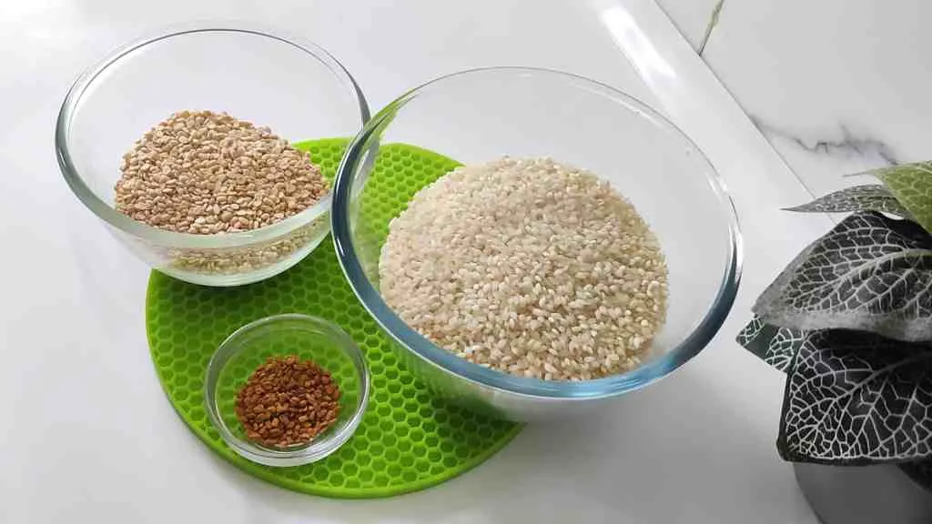 Instant Pot Idli Recipe