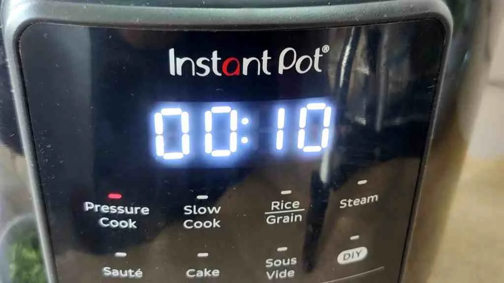 Instant Pot Dal Palak